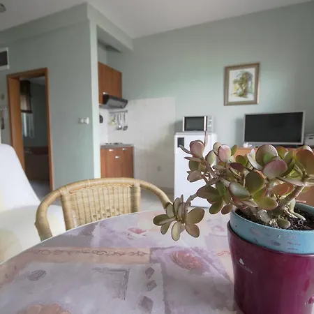 Nensi Apartment *
